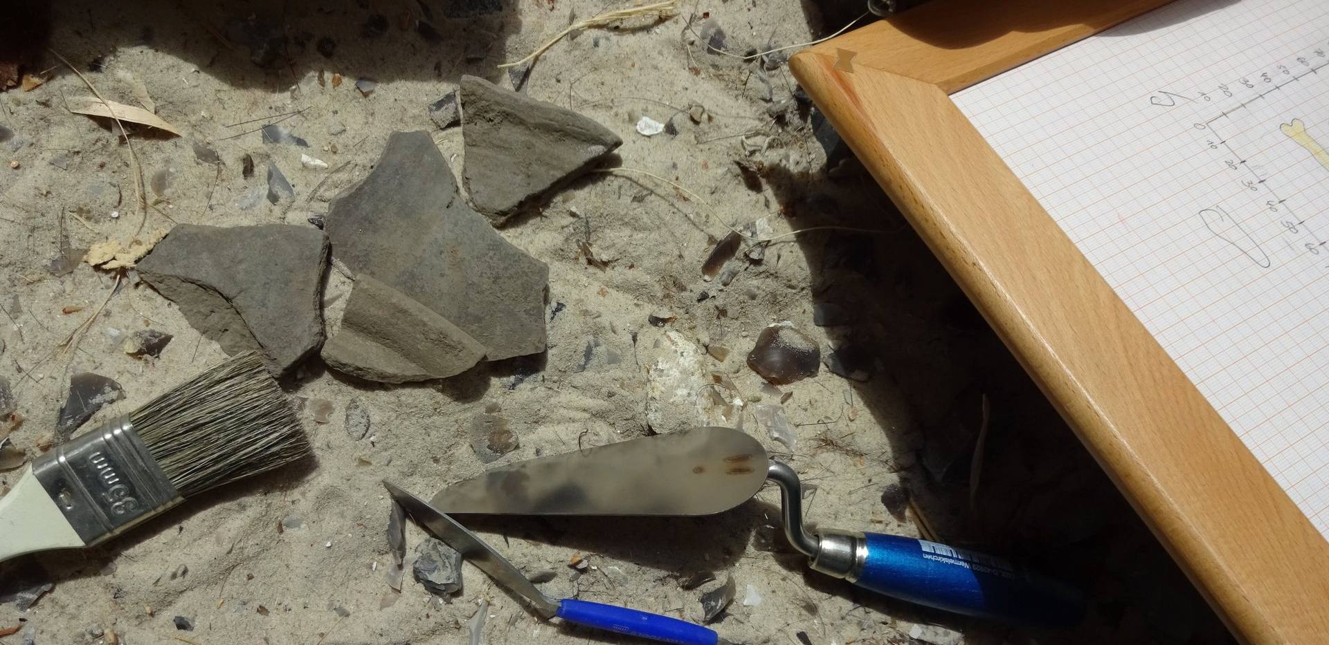 Zwischen Schatzgr&auml;berei und Wissenschaft