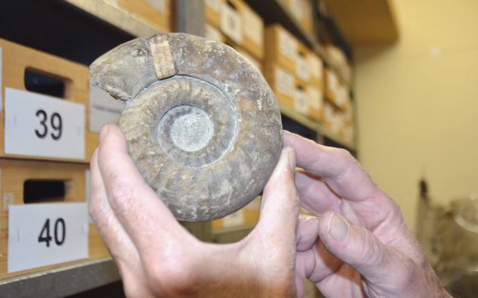Geologische Fundberatung Geologische Fundberatung