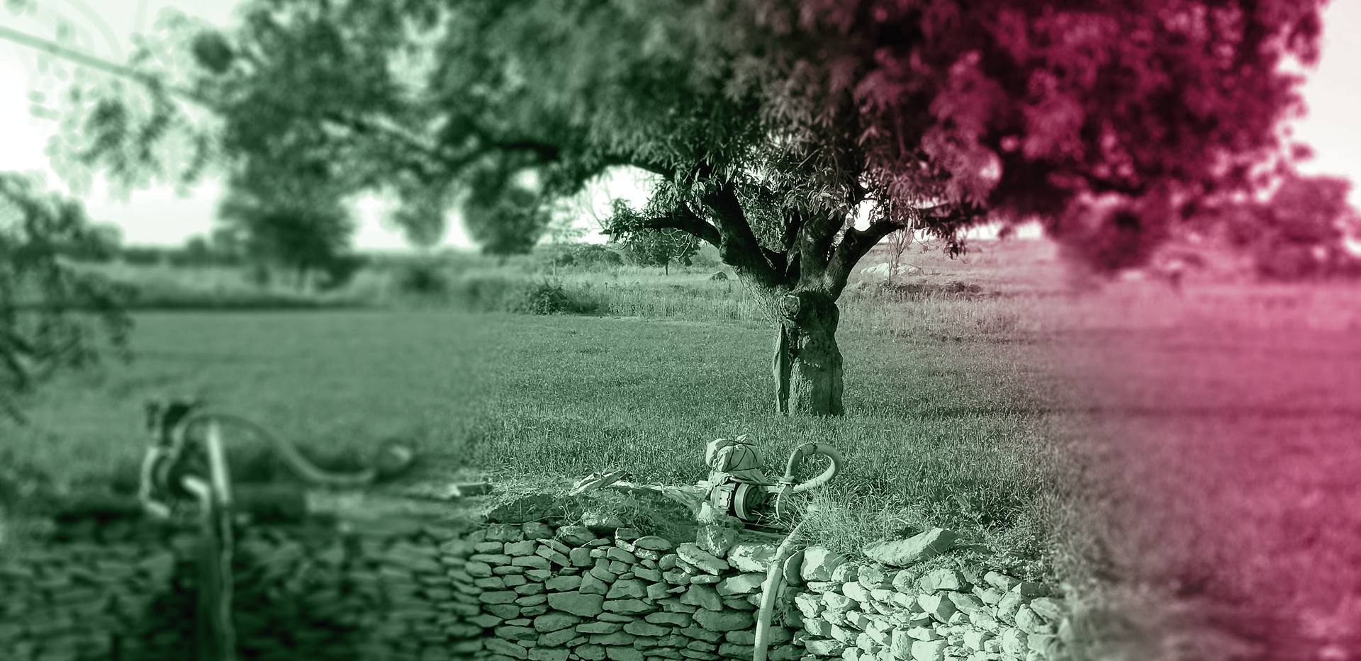 BRUNNEN, BÄUME UND BARBARISCHE SPIELE BRUNNEN, BÄUME UND BARBARISCHE SPIELE