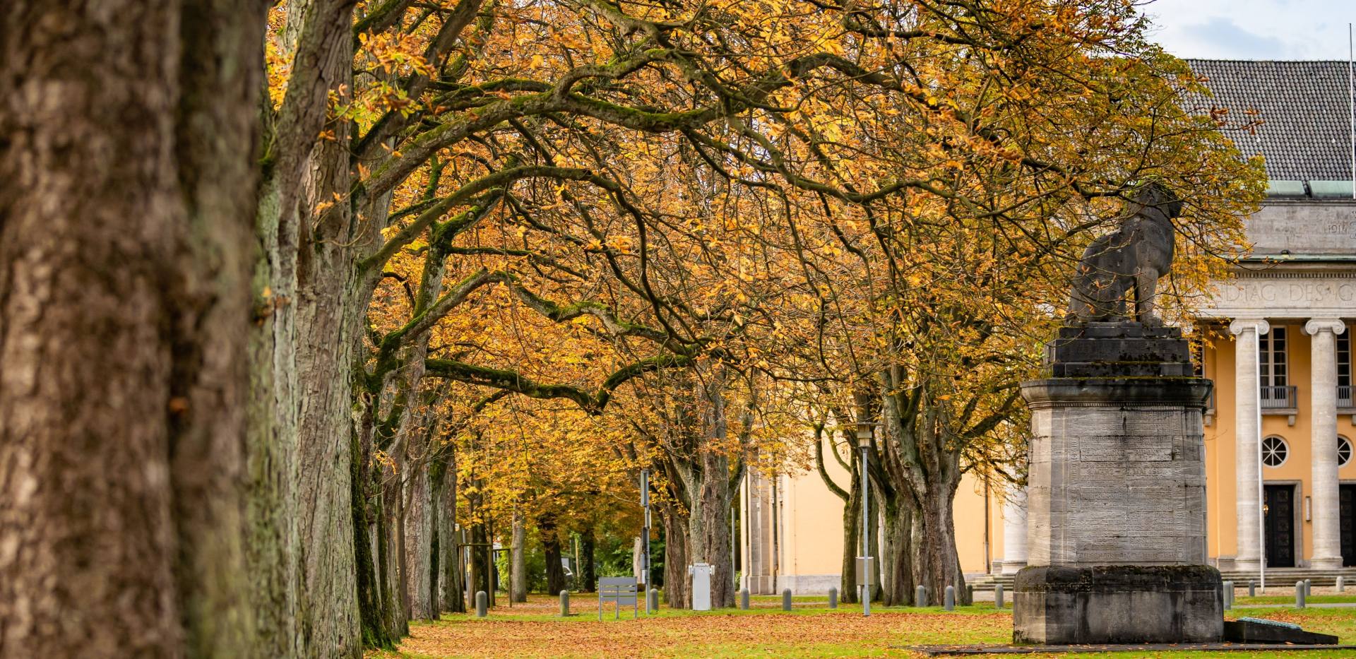 Blick auf die herbstlich verfärbte Baumallee in Richtung Alter Landtag. 