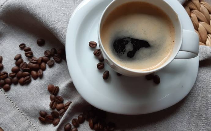 Kaffeer&ouml;sterei Traumbohne