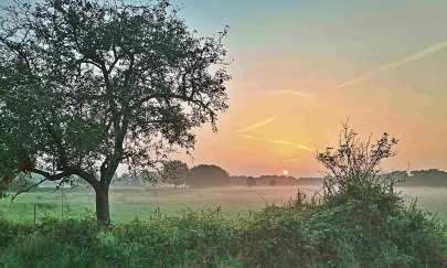 Everstener Moor bei Sonnenaufgang_Martin Klostermann Everstener Moor bei Sonnenaufgang_Martin Klostermann