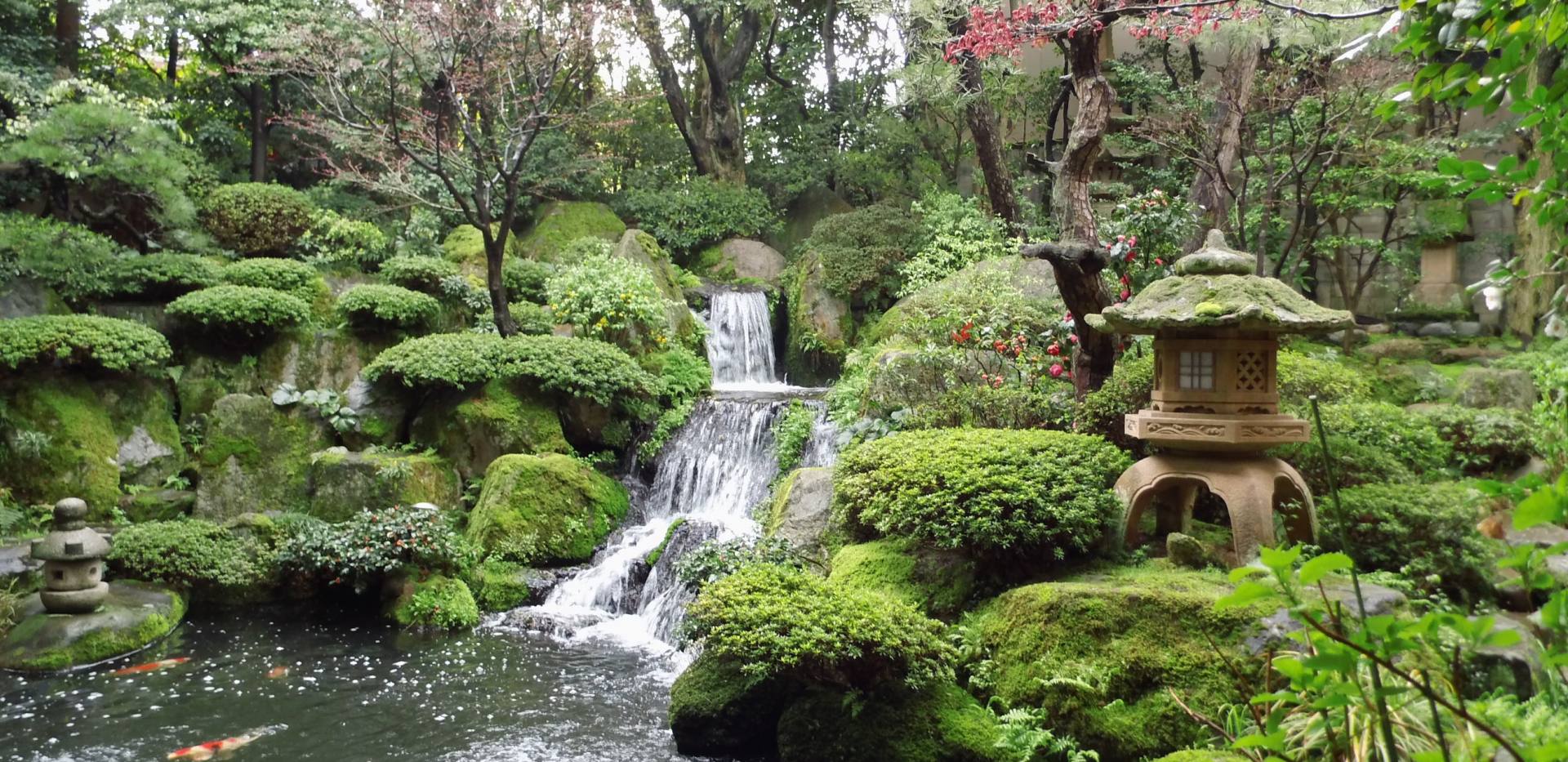 jap.Garten jap.Garten