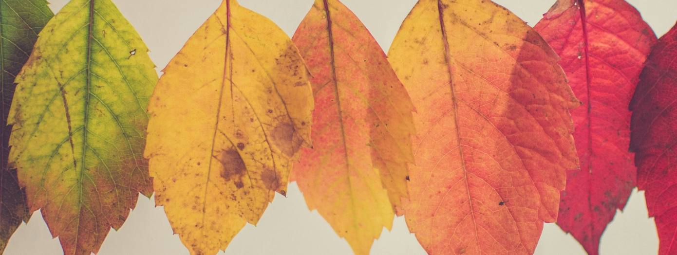 Farben der Welt Farben der Welt