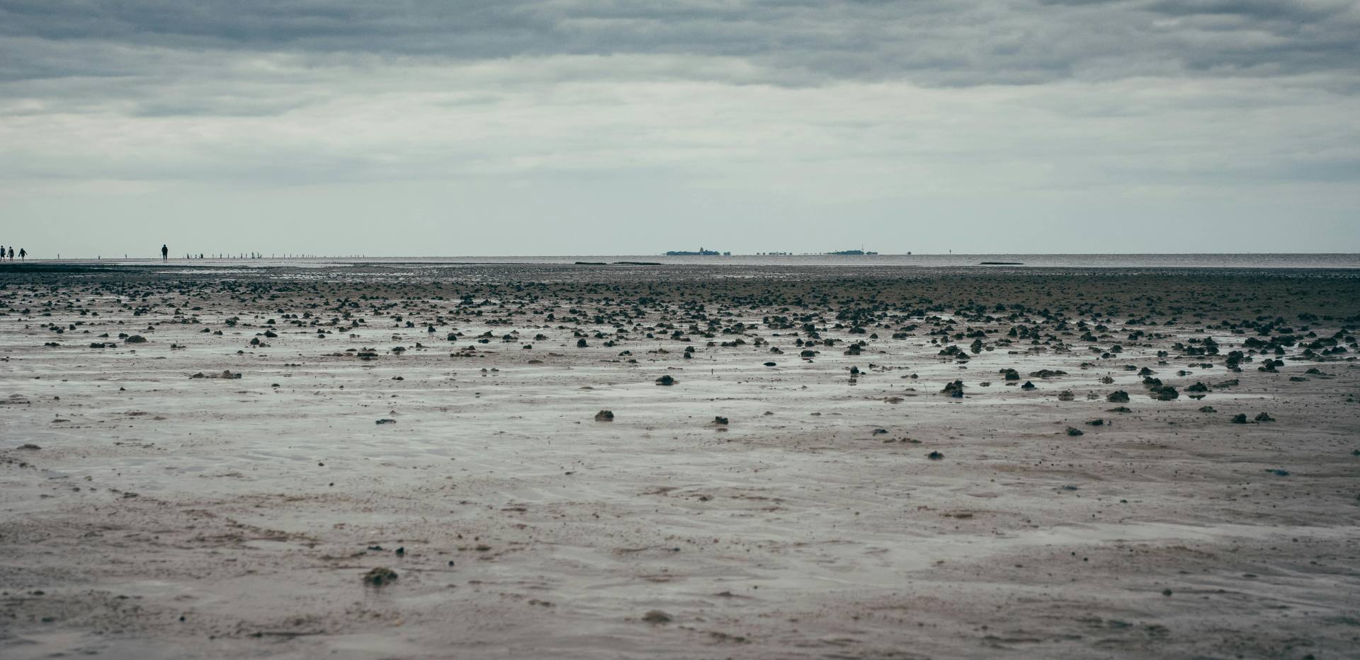 Wattenmeer Wattenmeer