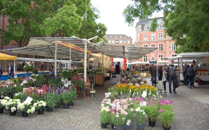 Wochenmarkt auf dem Rathausmarkt Wochenmarkt auf dem Rathausmarkt