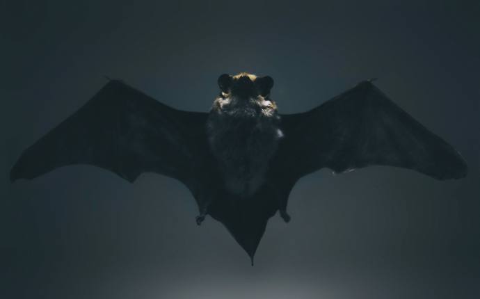 Foto: Nenad Milosevic / unsplash