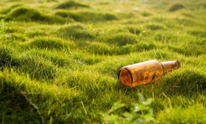 Leere Glasflasche auf Rasen. Foto: Letone/Pixabay