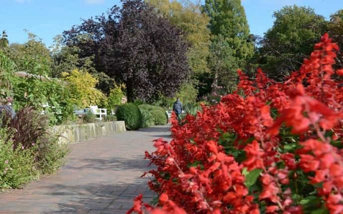 Garten im Wandel - Sommerliche Fülle Garten im Wandel - Sommerliche Fülle