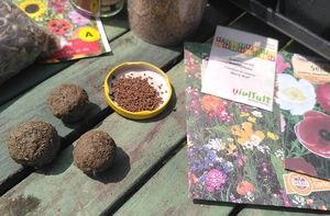 Workshop Samenkugeln herstellen für Kinder von 3 bis 6 Jahren