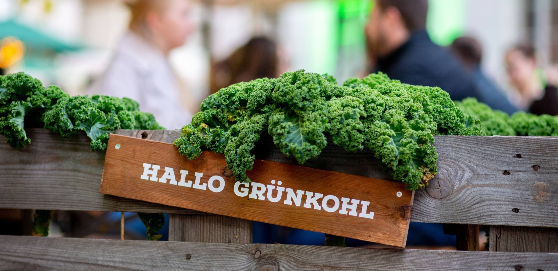 Grünkohlpflanze mit Dekoration und Menschen in Gemeinschaft im Hintergrund auf der Veranstaltung "Hallo Grünkohl" in Oldenburg. Grünkohlpflanze mit Dekoration und Menschen in Gemeinschaft im Hintergrund auf der Veranstaltung "Hallo Grünkohl" in Oldenburg.
