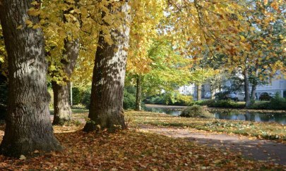 Garten im Wandel - Farben des Herbstes Garten im Wandel - Farben des Herbstes