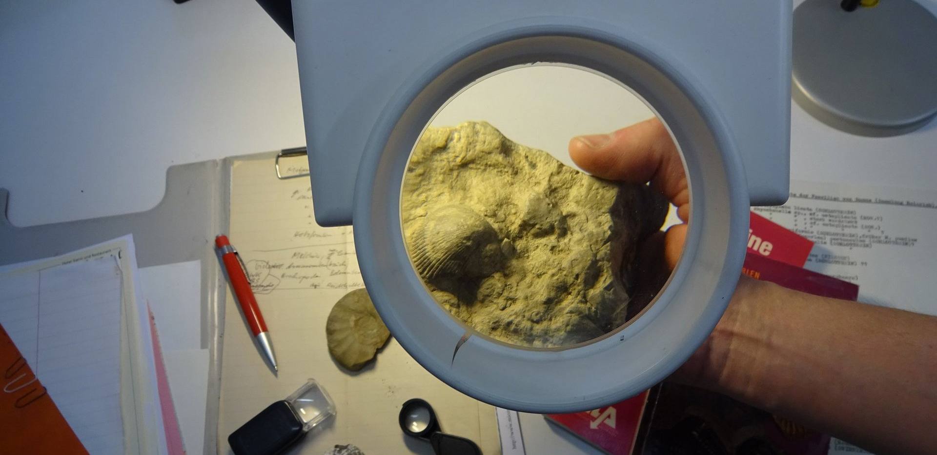 Geologische Fundberatung