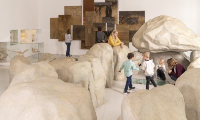 Das Großsteingrab in der Dauerstellung des Natur und Mensch. © Landesmuseum Natur und Mensch, Foto: Stephan Walzl Das Großsteingrab in der Dauerstellung des Natur und Mensch. © Landesmuseum Natur und Mensch, Foto: Stephan Walzl