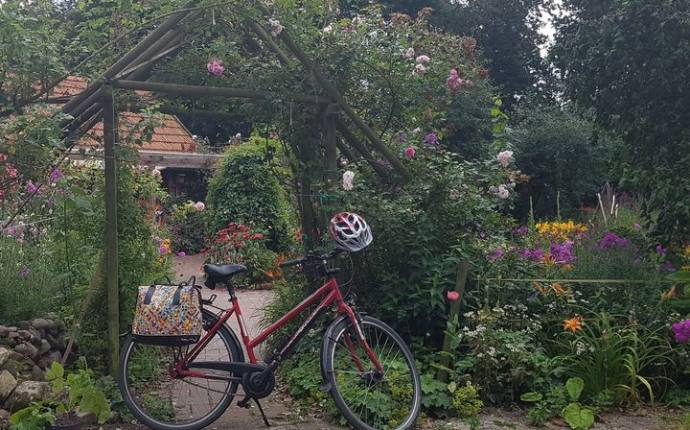 Zum Bauerngarten nach Jeddeloh Zum Bauerngarten nach Jeddeloh