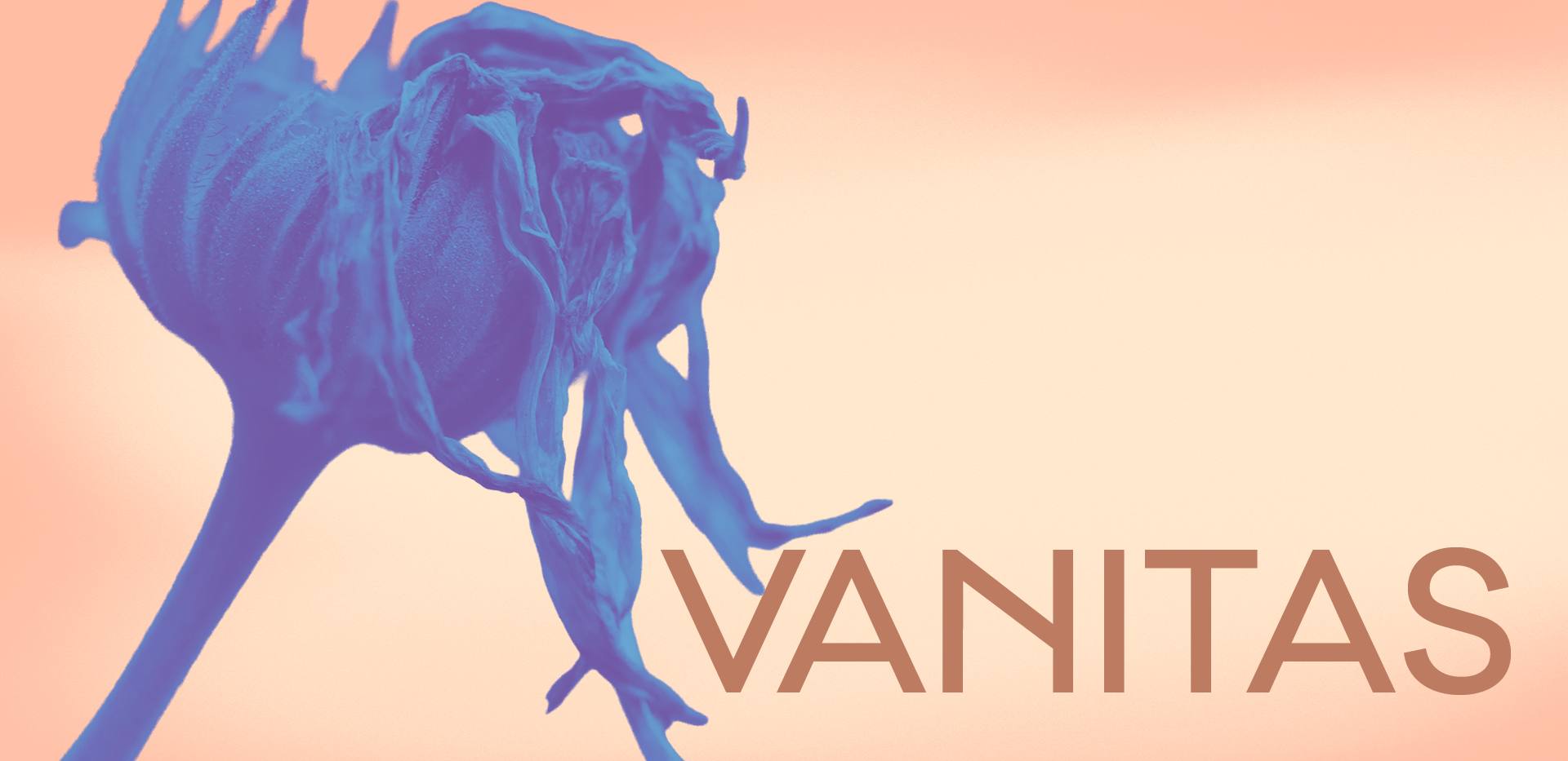 Vanitas Vanitas