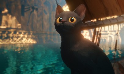 Schwarze Katze sitzt auf dem Boot.