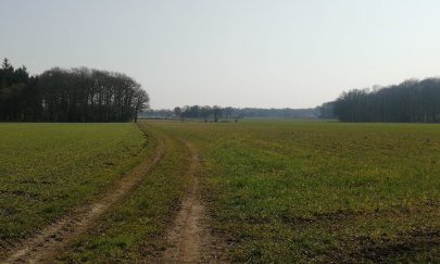 Achternmeer - mehr - moor