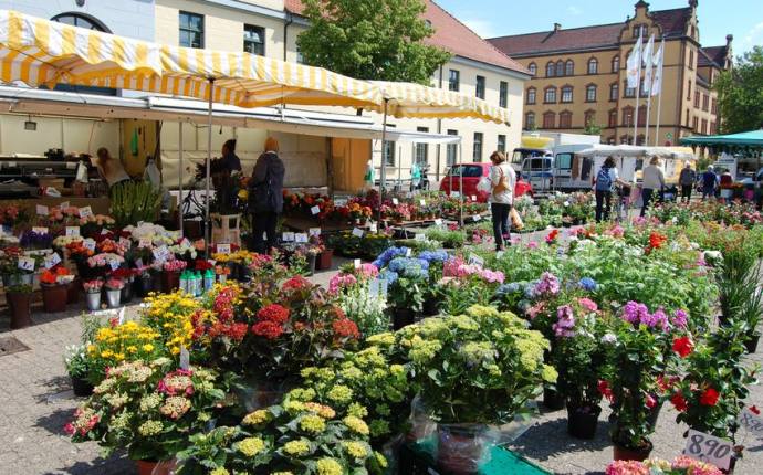Wochenmarkt auf dem Pferdemarkt Wochenmarkt auf dem Pferdemarkt