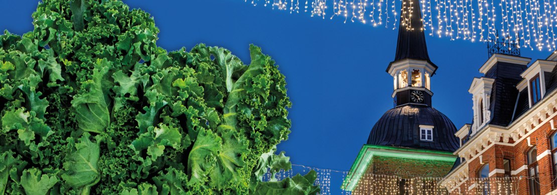 Grünkohl vor dem Lappan und Weihnachtsbeleuchtung in Oldenburg