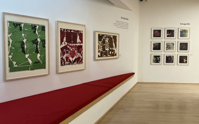 Blick in die aktuelle H&auml;ngung der Dauerausstellung