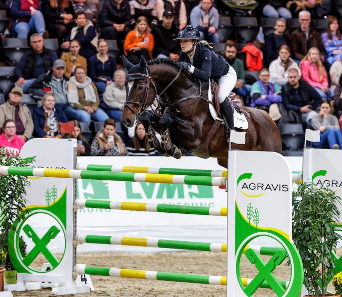 Spannender Springsport beim AGRAVIS‑Cup Oldenburg:
Die Springprüfungen zählen zu den sportlichen Höhepunkten in der EWE Arena Oldenburg. Internationale Reiterinnen und Reiter sowie talentierte Nachwuchsreiter aus der Region messen sich in Mannschaftsspringprüfungen sowie in der Youngster und Mittleren Tour. Das Highlight am Sonntag: der "Große Preis von Oldenburg". Schnelligkeit, Präzision und perfekte Abstimmung zwischen Reiter und Pferd sorgen für spannenden Sport und unvergessliche Momente auf höchstem Niveau. Spannender Springsport beim AGRAVIS‑Cup Oldenburg:
Die Springprüfungen zählen zu den sportlichen Höhepunkten in der EWE Arena Oldenburg. Internationale Reiterinnen und Reiter sowie talentierte Nachwuchsreiter aus der Region messen sich in Mannschaftsspringprüfungen sowie in der Youngster und Mittleren Tour. Das Highlight am Sonntag: der "Große Preis von Oldenburg". Schnelligkeit, Präzision und perfekte Abstimmung zwischen Reiter und Pferd sorgen für spannenden Sport und unvergessliche Momente auf höchstem Niveau.