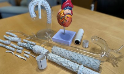 Aortenprothesen. Foto: Klinikum Oldenburg