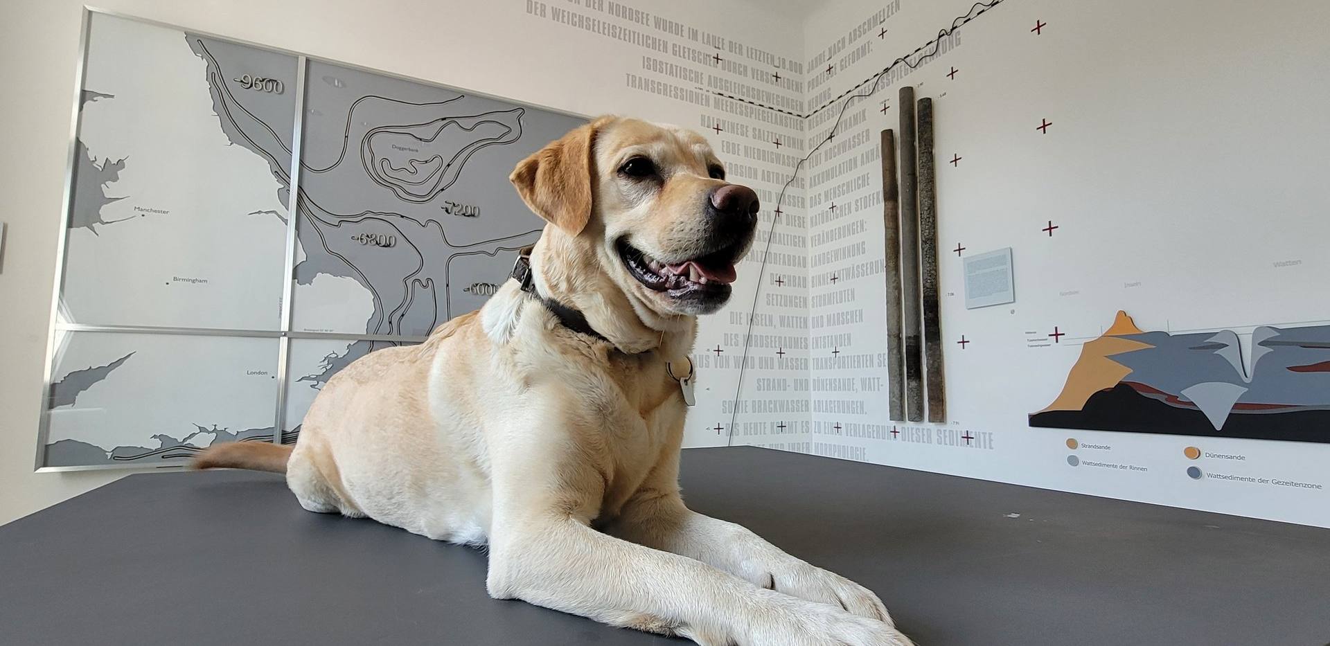 Wau - WOW! Mit Hund ins Museum Wau - WOW! Mit Hund ins Museum