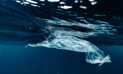 "Break free from Plastic" - Unser tägliches Plastik-Recycling als Problem "Break free from Plastic" - Unser tägliches Plastik-Recycling als Problem