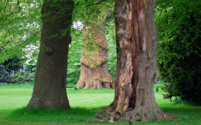 Wald im Wandel - Gemeinsam auf Spurensuche im Stadtwald Wald im Wandel - Gemeinsam auf Spurensuche im Stadtwald