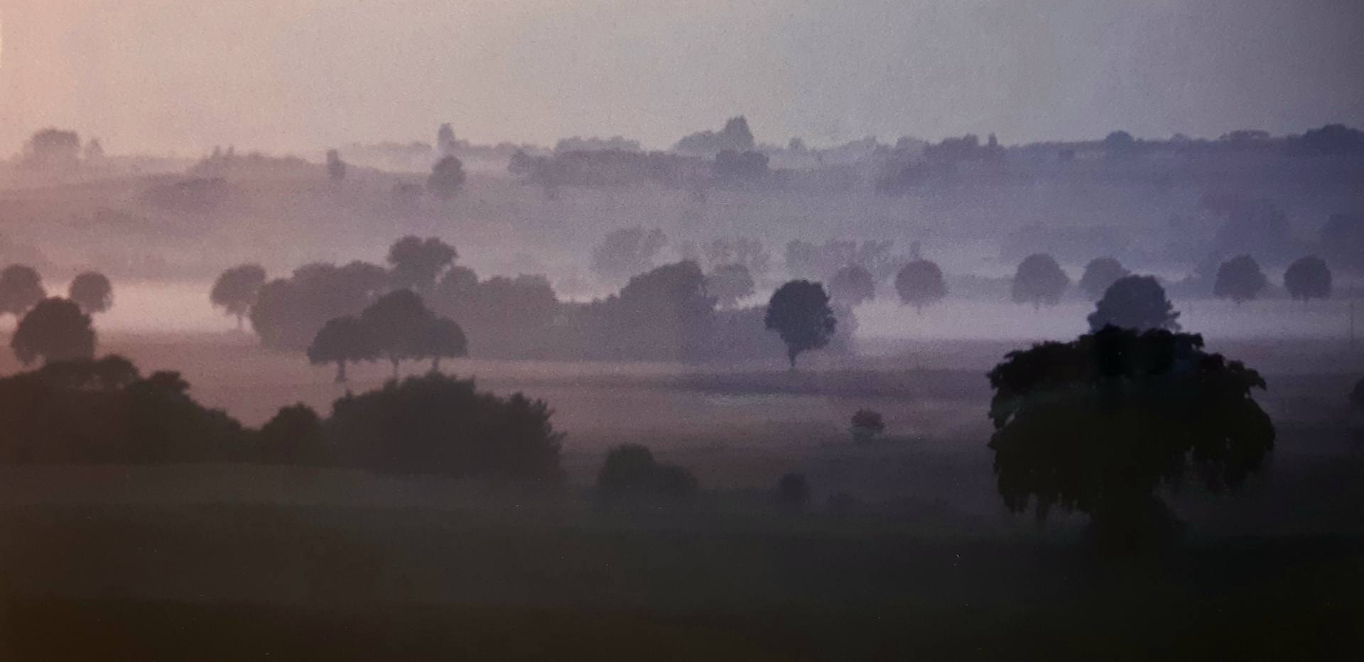 Der Abend ist mein Buch. © Peter Hoeltzenbein Der Abend ist mein Buch. © Peter Hoeltzenbein