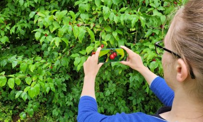Wald im Wandel – Artenvielfalt entdecken Wald im Wandel – Artenvielfalt entdecken