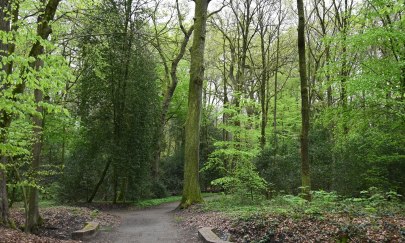 Wald im [Klima]Wandel - Welche Zukunft hat unser Wald?
