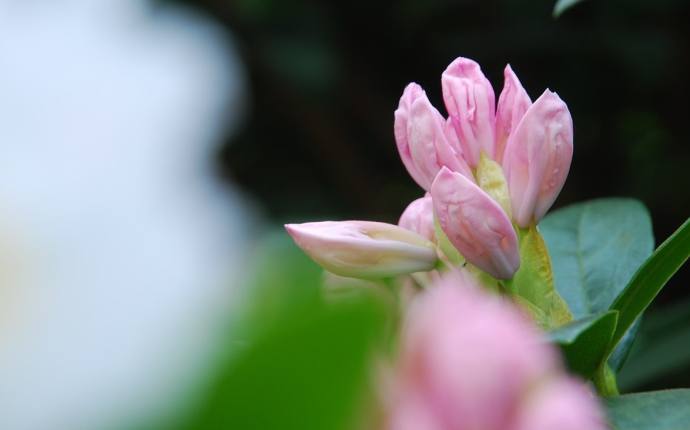 Schlossgartenführung: Ein Gang durch den Beltwalk Schlossgartenführung: Ein Gang durch den Beltwalk