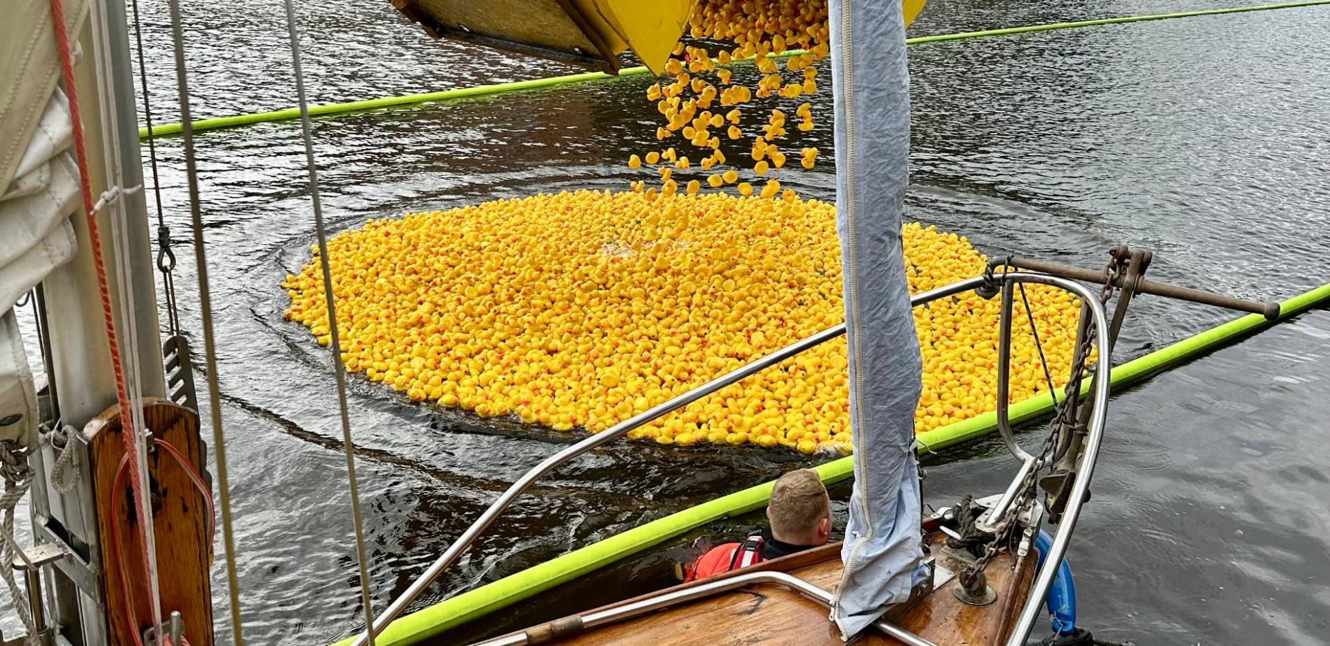 Die schnellsten Enten gewinnen!