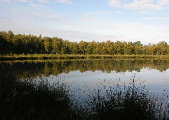 Engelsmeer Bad Zwischenahn Engelsmeer Bad Zwischenahn
