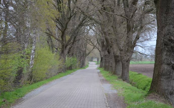Nach Rastede Nach Rastede