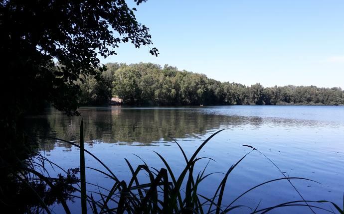 2-49-frieda-oeltjenbruns-tillysee 2-49-frieda-oeltjenbruns-tillysee