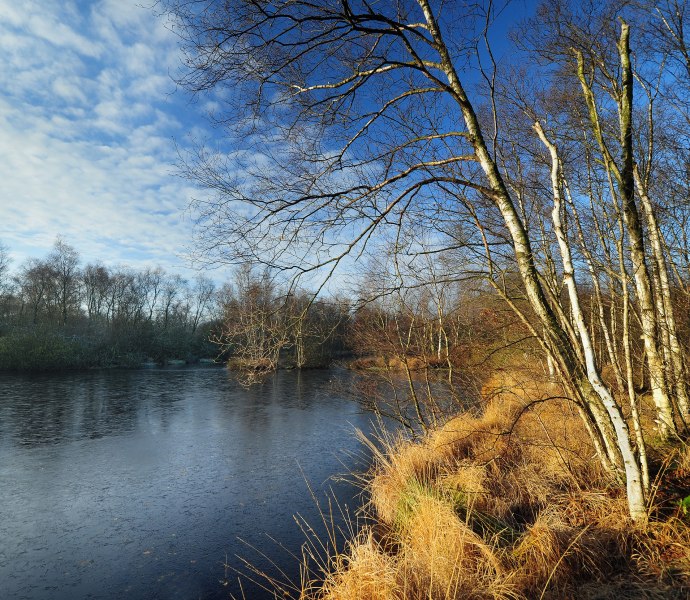 Gellener Torfm&ouml;&ouml;rte
