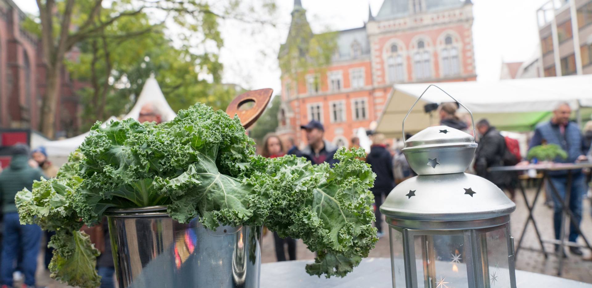 Seit 2011 wird jährlich am ersten Sonntag im November die Grünkohlsaison unter dem Motto "Hallo Grünkohl" in Oldenburg mit einem Fest in der Innenstadt eröffnet. 