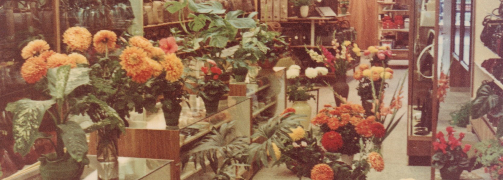 BA-36792_nd_Haarenstr_Leder_Holert_Blumen_Neueröffnung_28.09.1962_Prov_A.Holert