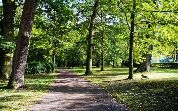 Eversten Holz Oldenburg Eversten Holz Oldenburg