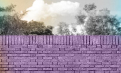 WTF &ndash; Women That Fight