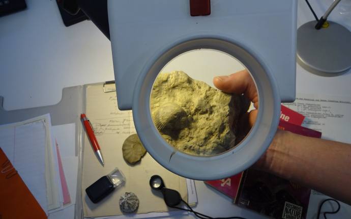 Geologische Fundberatung