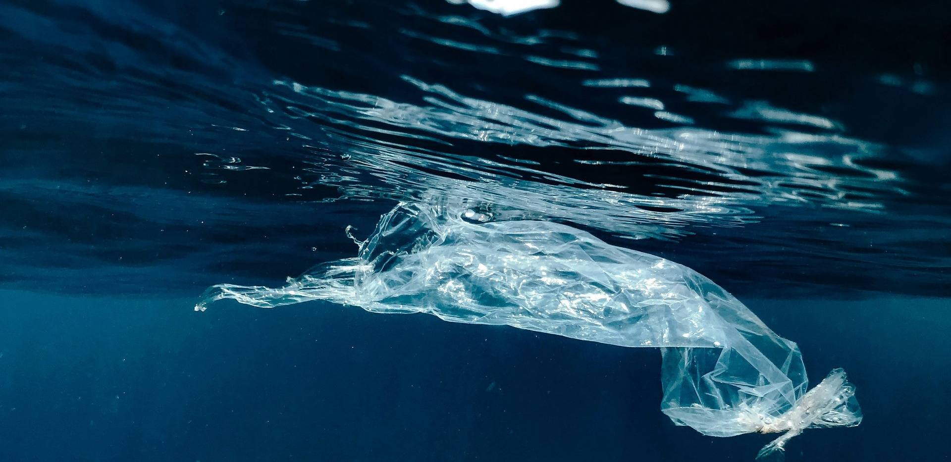 "Break free from Plastic" - Unser tägliches Plastik-Recycling als Problem