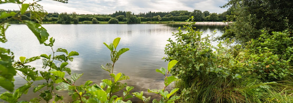 Woldsee bei Oldenburg Woldsee bei Oldenburg