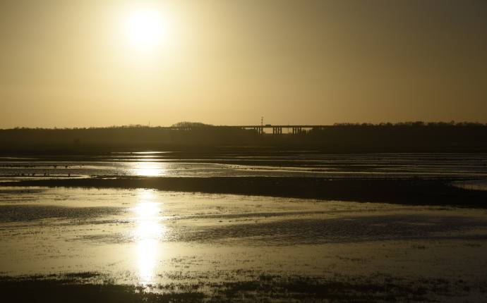 16_moorhauser_polder 16_moorhauser_polder