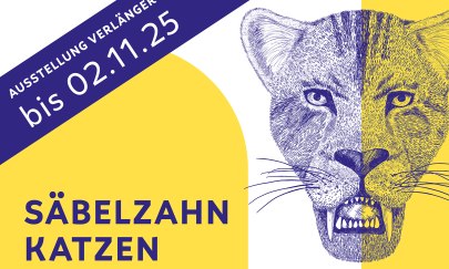 Keyvisual zur Sonderausstellung "Säbelzahnkatzen". Keyvisual zur Sonderausstellung "Säbelzahnkatzen".