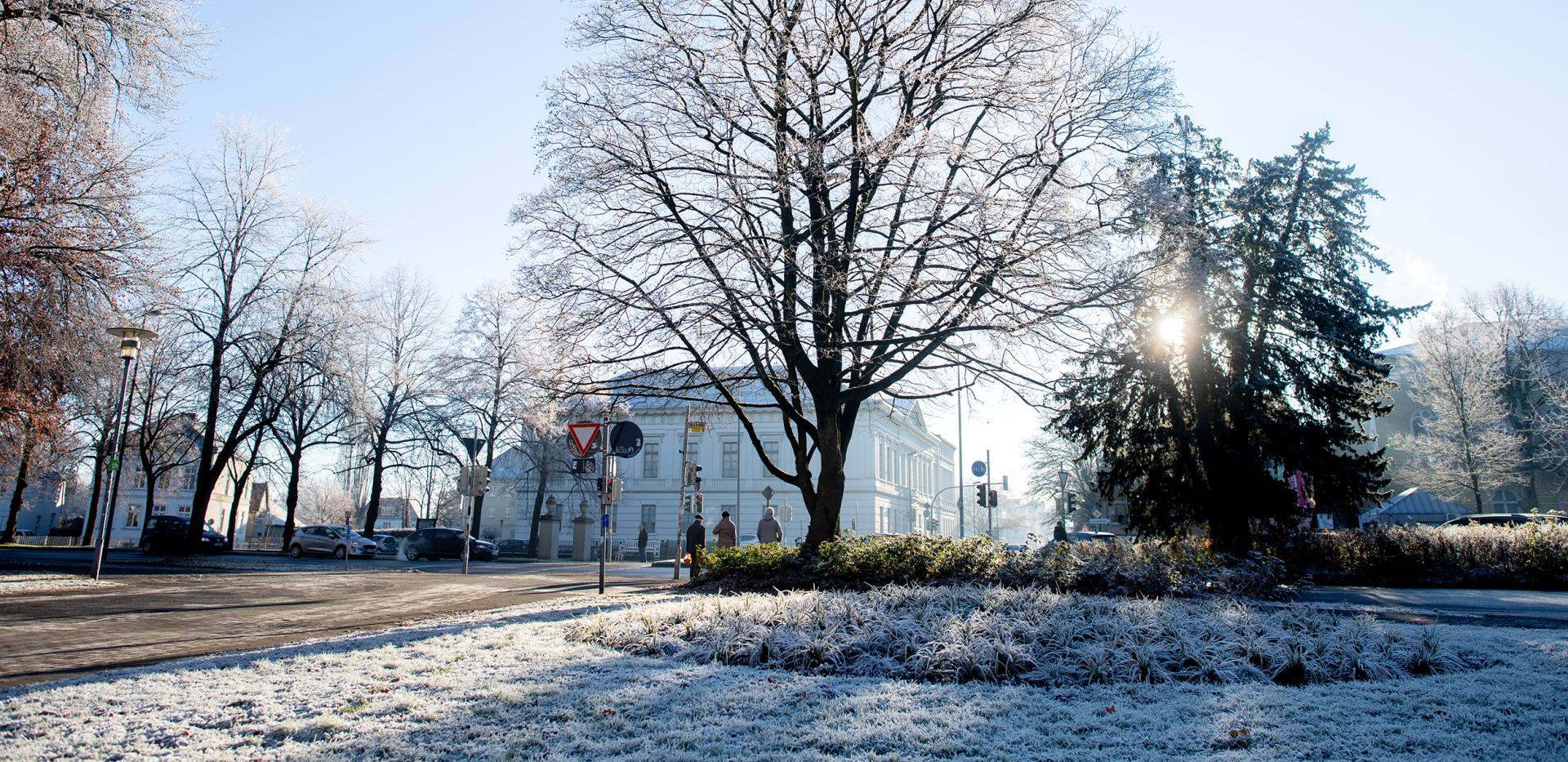 Frost in Oldenburg mit dem Prinzenpalais im Hintergrund