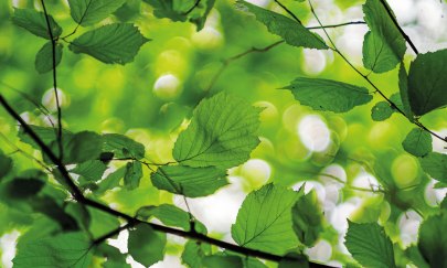 Keyvisual Oldenburg Stadtgärten 2026 Keyvisual Oldenburg Stadtgärten 2026